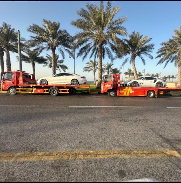 Two professional tow trucks with luxury cars under palm trees